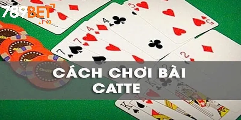 Cách Chơi Bài Catte 789bet: Chi Tiết Luôn Thắng Cho Người Mới 2 Khám Phá Cách chơi bài Catte 789bet: Từ Cơ Bản Đến Thành Thạo