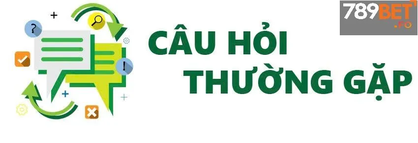 Câu trả lời và những dịch vụ đặc biệt dành cho người chơi