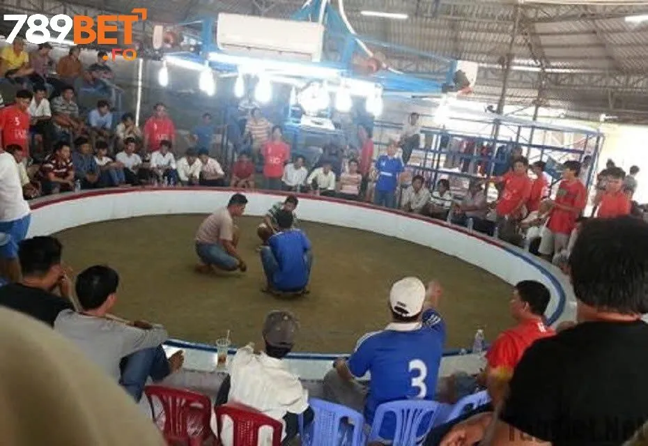 Các loại hình đá gà Campuchia phổ biến tại 789bet